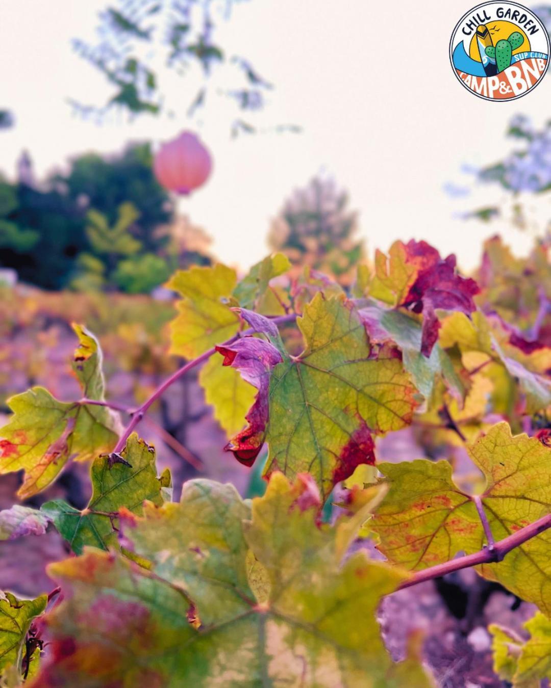 Chill Garden Experience B&B San Pietro in Bevagna Esterno foto