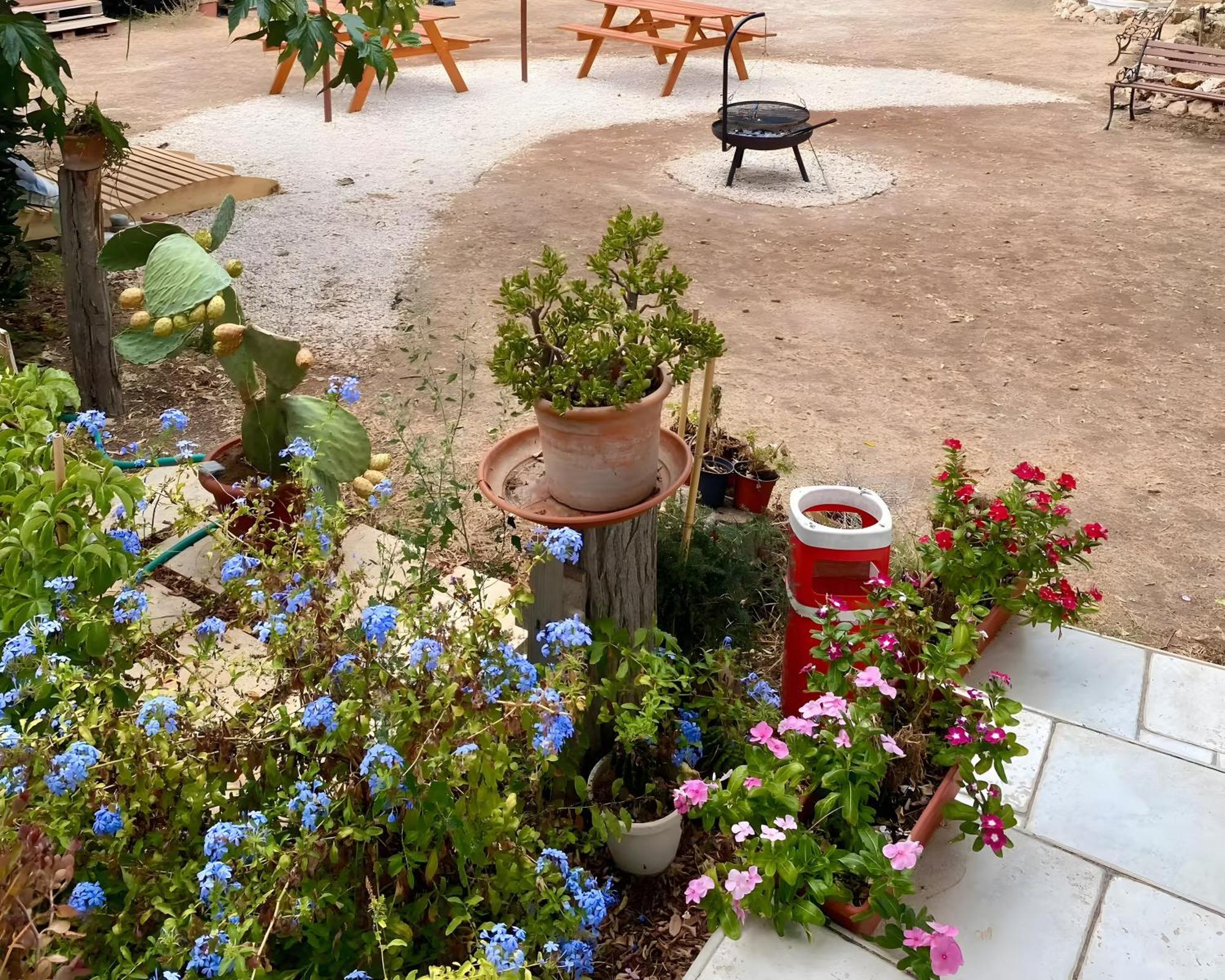 Chill Garden Experience B&B San Pietro in Bevagna Esterno foto